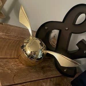 GOLDEN SNITCH CONTAINER Harry Potter jewelry/miscellaneous item holder